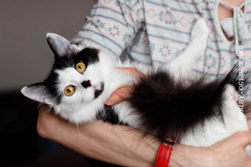 Доня - скромная красавица. Минск