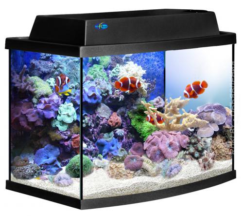 Аквариум Биодизайн Классик 50R. Минск