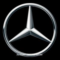 Пассажирские перевозки Mercedes Sprinter VIP. Минск