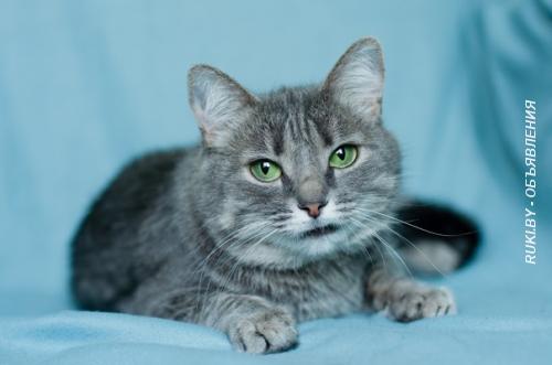 Эйна зеленоглазая фея. Минск