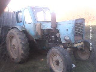 Трактор МТЗ 50. Минская область, Вилейка