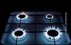 Куплю плиту газовую Гефест , Алеся или Индезит , новую или немного б у .... Минск